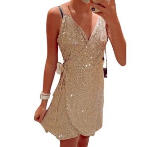 Windsor Sparkle Dress • Size Medium